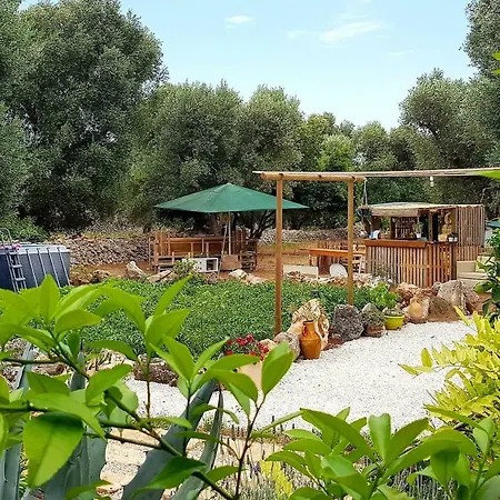 Casetta Primavera Un Oasi Di Relax Fra Gli Ulivi Holiday home