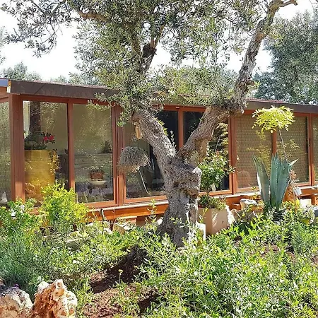 Holiday home Casetta Primavera Un Oasi Di Relax Fra Gli Ulivi