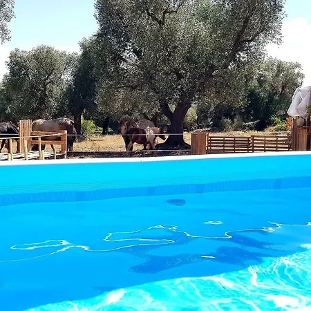 Casetta Primavera Un Oasi Di Relax Fra Gli Ulivi Holiday home Ceglie Messapica