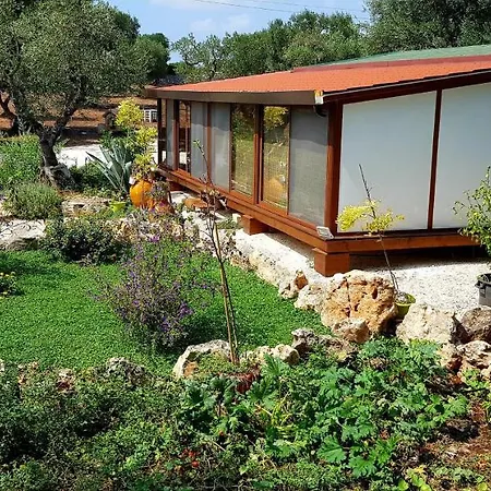 Casetta Primavera Un Oasi Di Relax Fra Gli Ulivi Holiday home
