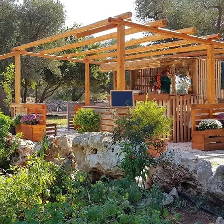 Casetta Primavera Un Oasi Di Relax Fra Gli Ulivi