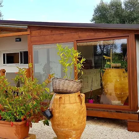 Casetta Primavera Un Oasi Di Relax Fra Gli Ulivi Holiday home *